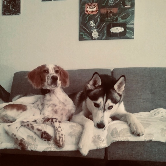 Meet your Posher, Elizabeth - Picture 7 of 16